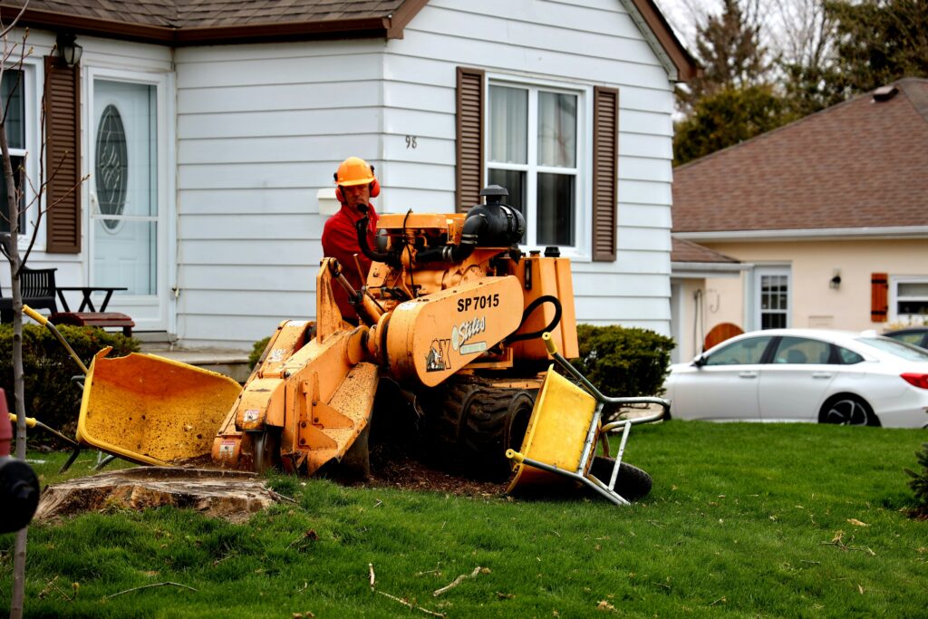 tree service Columbia MO
